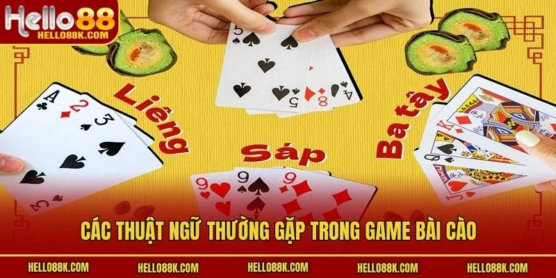 Các thuật ngữ thường gặp trong game bài cào